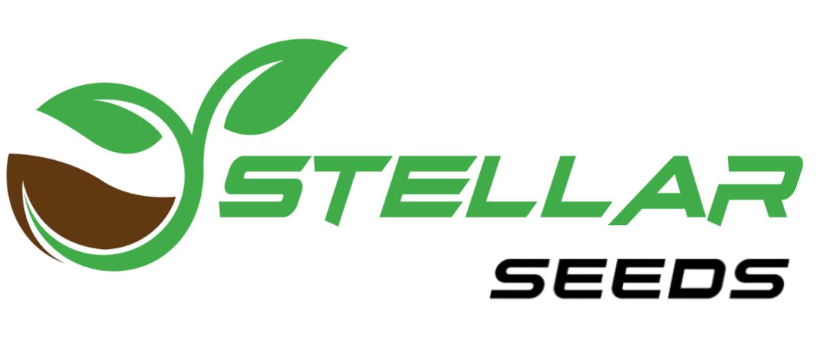 Stellar Seeds